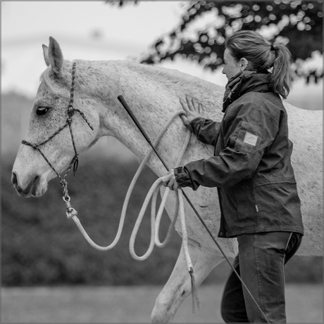 Physiotality.IhrPferd-MeineLeidenschaft.StefanieSahrhage.